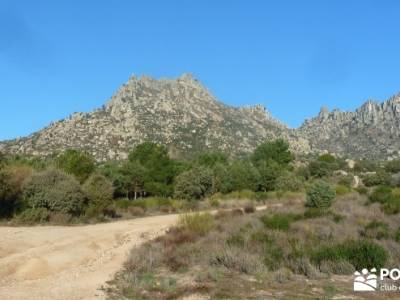 Sierra de la Cabrera - Pico de la Miel; senderismo por madrid; excursiones y senderismo